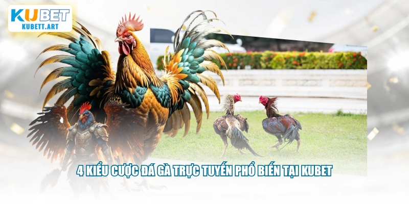 4 kiểu cược đá gà trực tuyến phổ biến tại KUBET