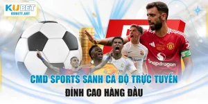 CMD sports sảnh cá độ trực tuyến đỉnh cao hàng đầu
