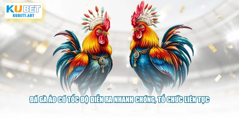 Đá gà ảo có tốc độ diễn ra nhanh chóng, tổ chức liên tục