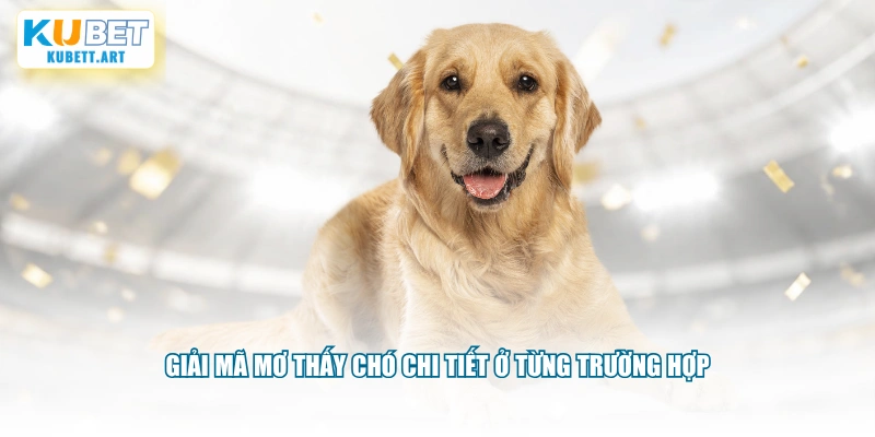 Giải mã mơ thấy chó chi tiết ở từng trường hợp