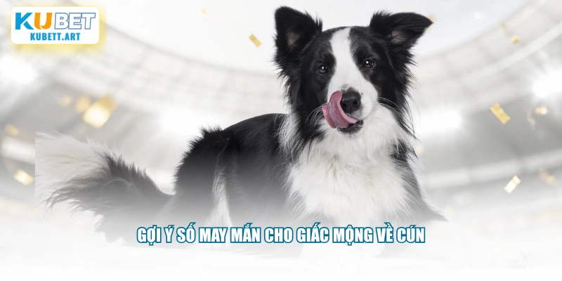 Gợi ý số may mắn cho giấc mộng về cún