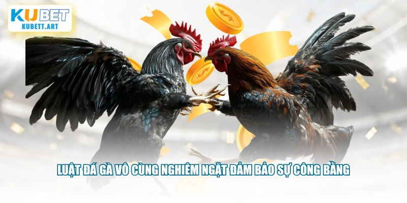 Luật đá gà vô cùng nghiêm ngặt đảm bảo sự công bằng