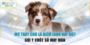 Mơ Thấy Chó Là Điềm Lành Hay Dữ? Gợi Ý Chốt Số May Mắn
