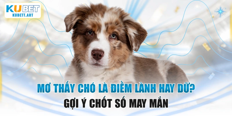 Mơ Thấy Chó Là Điềm Lành Hay Dữ? Gợi Ý Chốt Số May Mắn